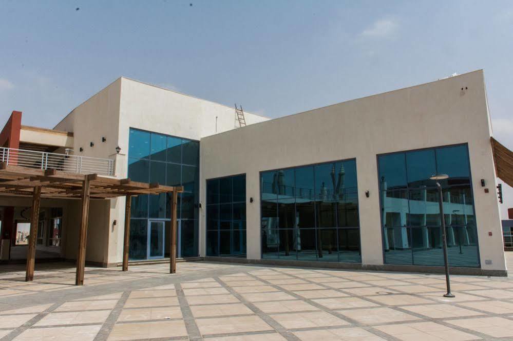 توليب النرجس 5*
